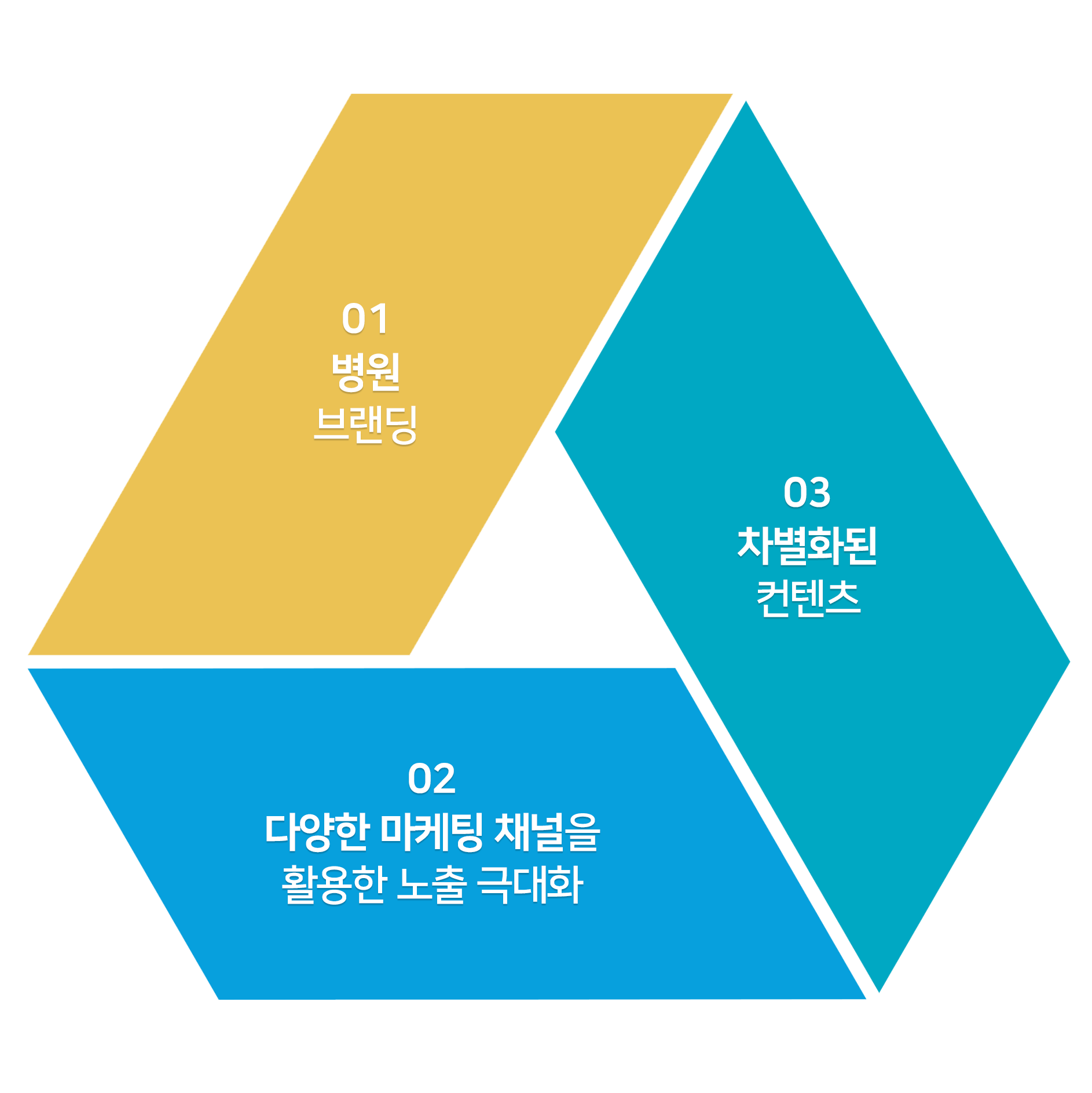 01_인포그래픽_2 1